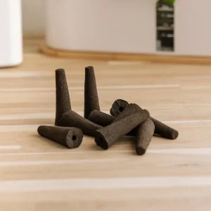 10 éponges de culture pour potagers d’intérieur